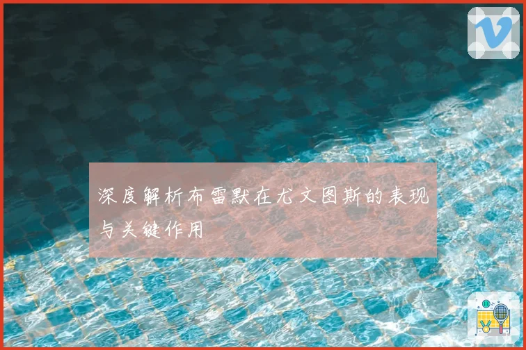 深度解析布雷默在尤文图斯的表现与关键作用
