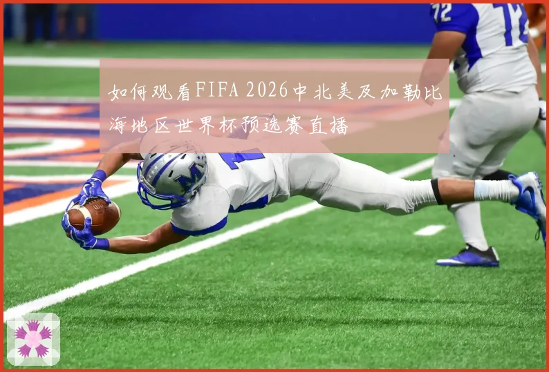 如何观看FIFA 2026中北美及加勒比海地区世界杯预选赛直播